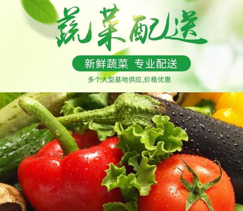 新鲜蔬菜配送服务，你真的了解吗？今天就让我们通过对比的方式，来揭开它的面纱。